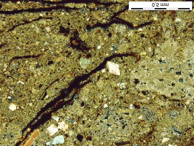 kopaliny towarzyszące W złożach węgla brunatnego Wagner (2007) w profilach kredy jeziornej z Bełchatowa wyróżnił sześć jej odmian litologicznych.
