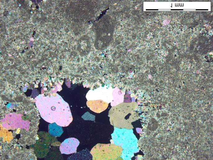 GEOLOGICZNO-SUROWCOWE ASPEKTY ZAGOSPODAROWANIA KOPALIN TOWARZYSZĄCYCH Wapienie bełchatowskie są skałami najczęściej barwy białej, makroskopowo wykazują teksturę masywną i zbitą.