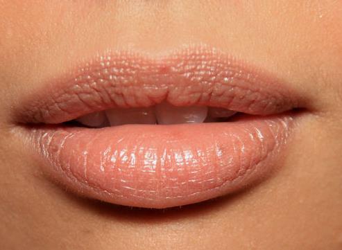 Jama ustna wargi Warga górna (labuim superius) i dolna (labuim inferius) ograniczają szparę ust.