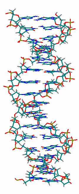 Struktura hemu i jego otoczenia w oksymioglobinie Dlaczego
