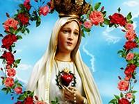 Zachęcamy także do podtrzymania zwyczaju śpiewania litanii loretańskiej i pieśni Maryjnych przy figurze Matki Bożej przed Kościołem we wtorki, czwartki i soboty o godzinie wieczorem.