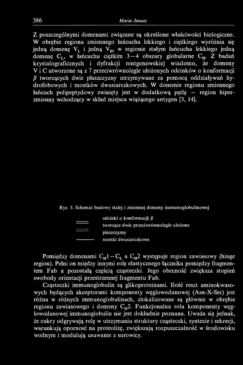 Z badań krystalograficznych i dyfrakcji rentgenowskiej wiadomo, że domeny V i C utworzone są z 7 przeciwrównolegle ułożonych odcinków o konformacji ß tworzących dwie płaszczyzny utrzymywane za pomocą