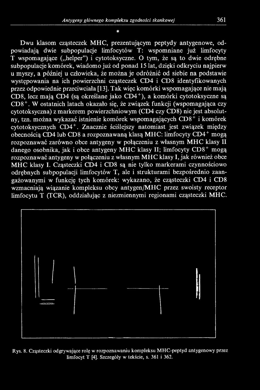 O tym, że są to dwie odrębne subpopulacje komórek, wiadomo już od ponad 15 lat, dzięki odkryciu najpierw u myszy, a później u człowieka, że można je odróżnić od siebie na podstawie występowania na