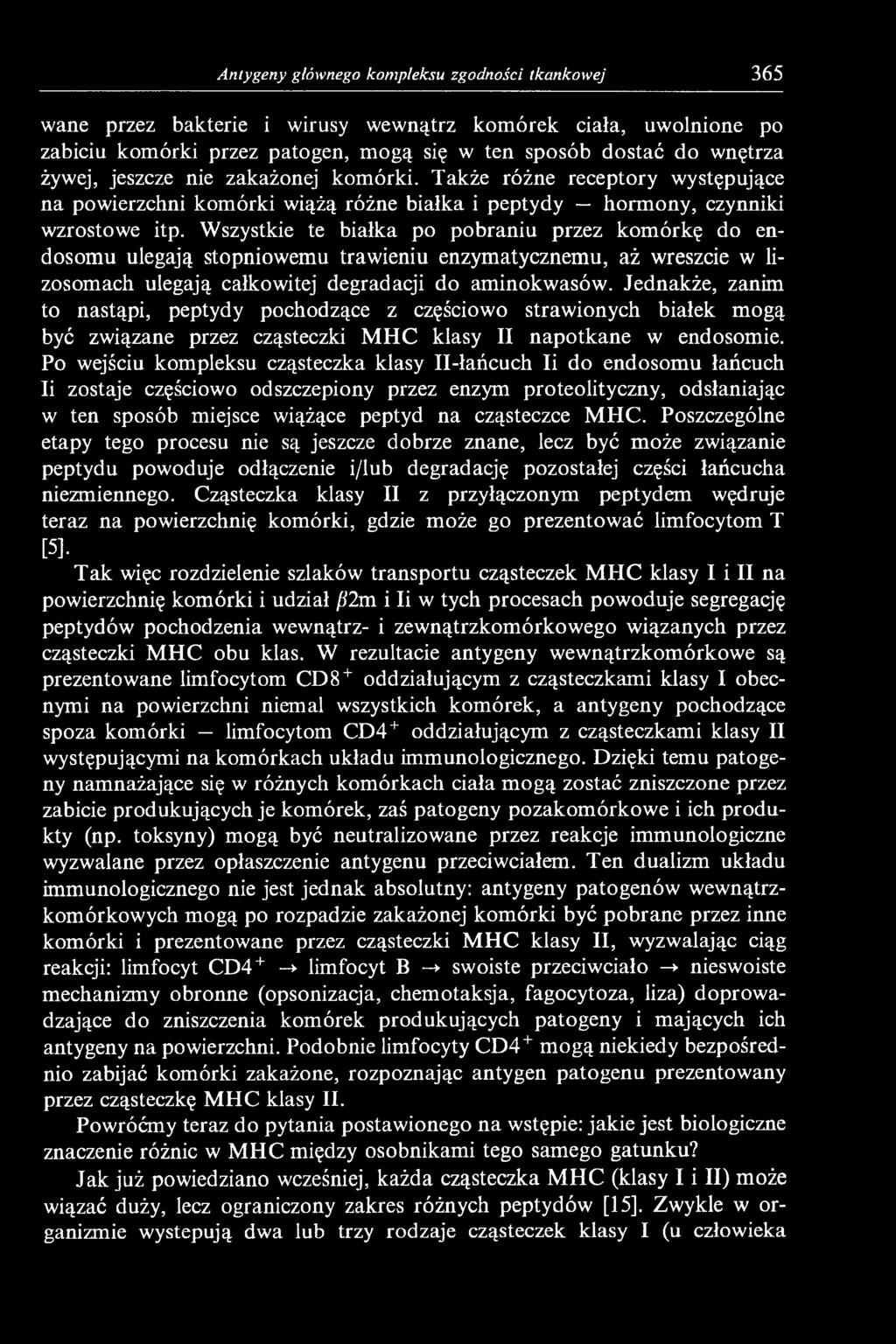 Wszystkie te białka po pobraniu przez komórkę do endosomu ulegają stopniowemu trawieniu enzymatycznemu, aż wreszcie w lizosomach ulegają całkowitej degradacji do aminokwasów.