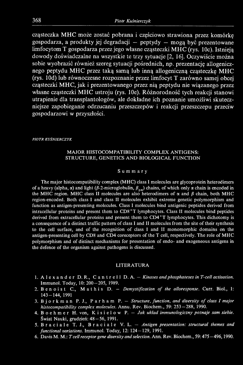 prezentację allogenicznego peptydu MHC przez taką samą lub inną allogeniczną cząsteczkę MHC (rys.