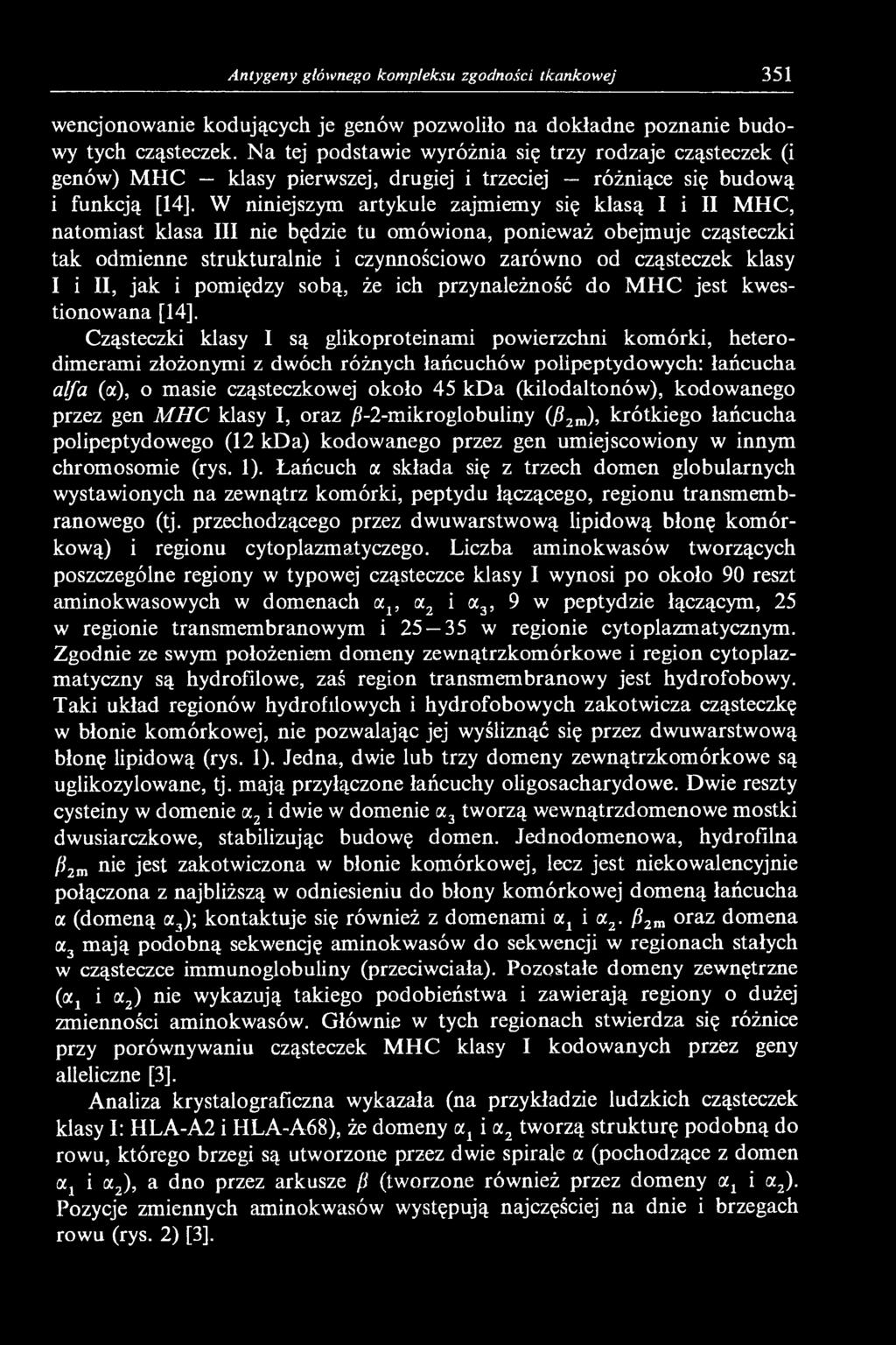 W niniejszym artykule zajmiemy się klasą I i II MHC, natomiast klasa III nie będzie tu omówiona, ponieważ obejmuje cząsteczki tak odmienne strukturalnie i czynnościowo zarówno od cząsteczek klasy I i