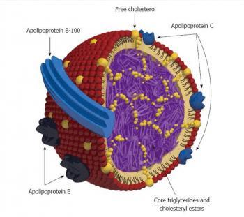 VLDL Zaliczane do pierwotnych lipoprotein Wytwarzane przez hepatocyty z lipidów endogennych Transport lipidów z