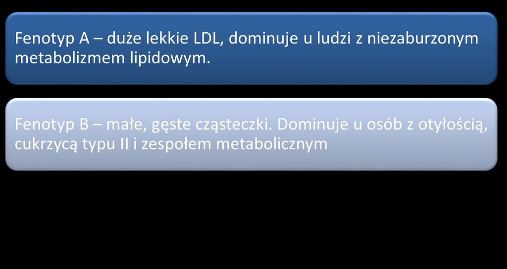 Fenotypy LDL Fenotyp B wiążę się z podwyższonym stężeniem