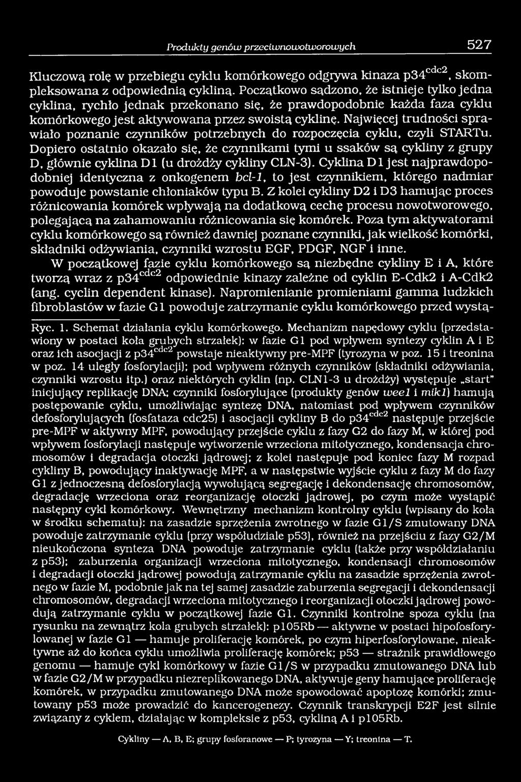 Najwięcej trudności sprawiało poznanie czynników potrzebnych do rozpoczęcia cyklu, czyli STARTu.