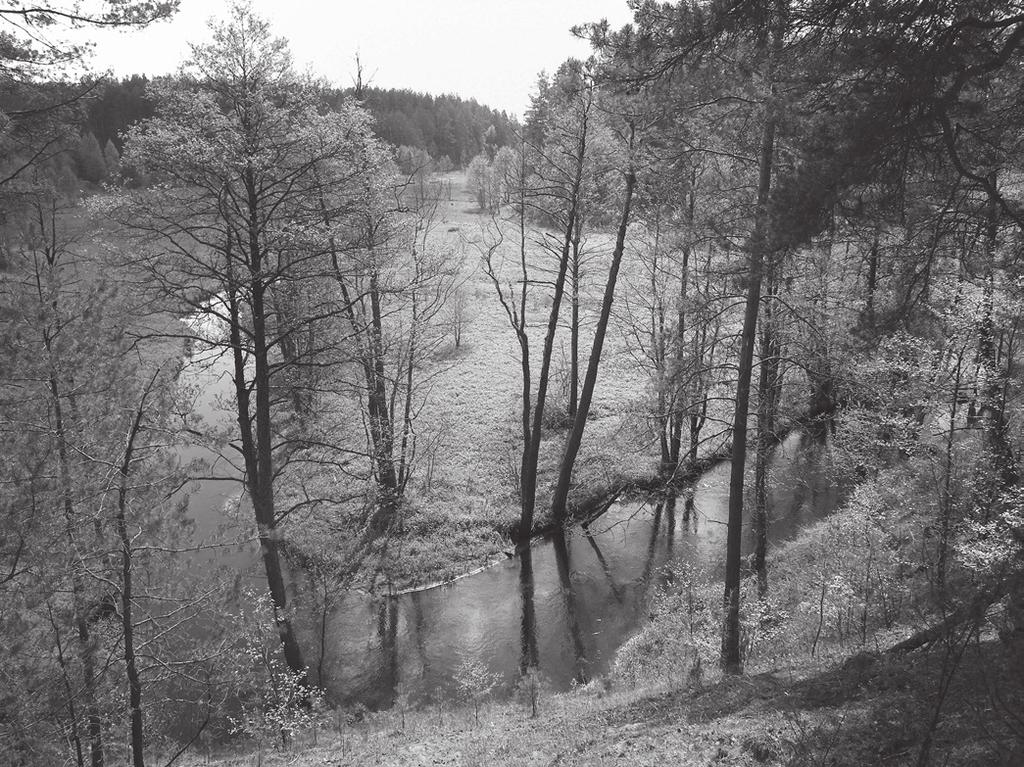 Šis upelis išteka 1 km į rytus nuo Marcinkonių kaimo esančioje šaltiniuotoje pelkėtoje vietovėje Zackagiryje, tad kartais vadinamas Zackagirio upeliu.