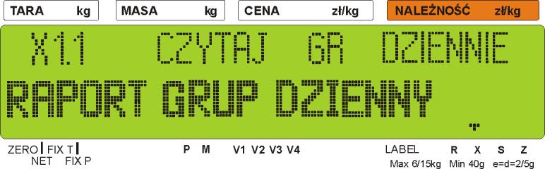 full dot matrix LCD. 5.1.