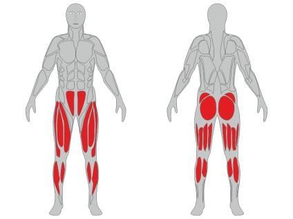 Funkcje urządzenia fitness. Aerobowe Łatwy Postaw nogi na pedałach. Obiema dłońmi chwyć uchwyty. W celu wykonania ćwiczenia przesuwaj dłonie i stopy do przodu na przemian.