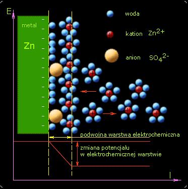 Teorie Helmholtz - ładunek elektryczny znajdujący się na powierzchni metalu jest neutralizowany przez jony tworzące warstewkę ściśle przylegającą do powierzchni metalu.