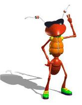 Mrówki są praktycznie ślepe, lecz potrafią znaleźć najkrótszą drogę do pożywienia i z powrotem.
