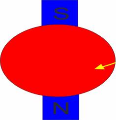 Elektron ma moment magnetyczny, bowiem ma spin o wartości s=1/. Magnetyczna liczba kwantowa m J przyjmuje wartości m s =+1/ i m s =-1/ (bo J=S).
