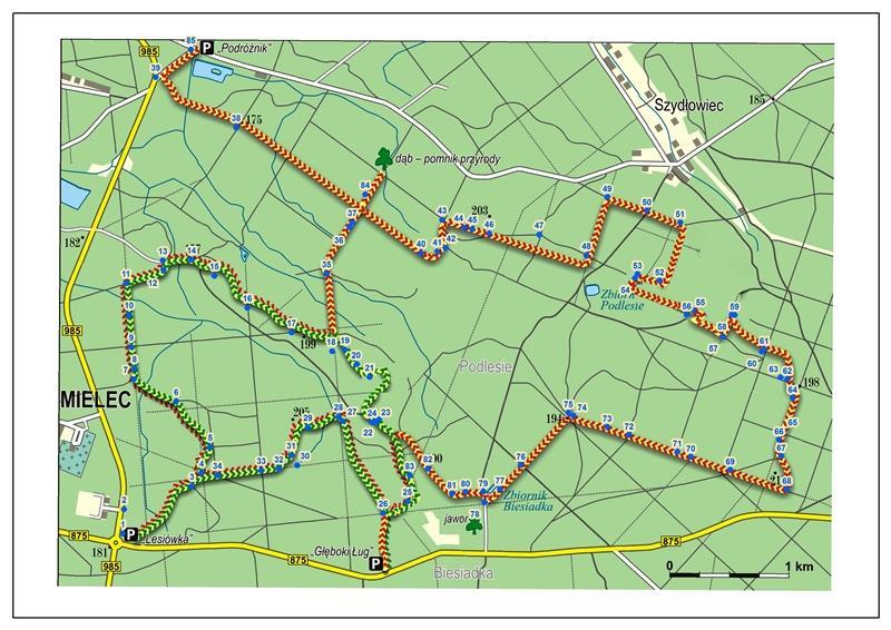 Mapa 6. Trasy rowerowe w Nadleśnictwie Mielec Źródło: http://www.mielec.krosno.lasy.gov.pl/trasy-rowerowe#.