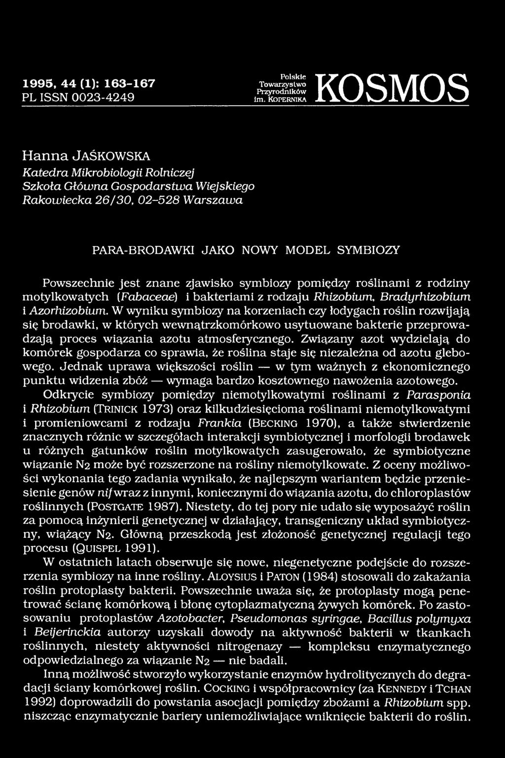 Azorhizobium. W wyniku symbiozy na korzeniach czy łodygach roślin rozwijają się brodawki, w których wewnątrzkomórkowo usytuowane bakterie przeprowadzają proces wiązania azotu atmosferycznego.