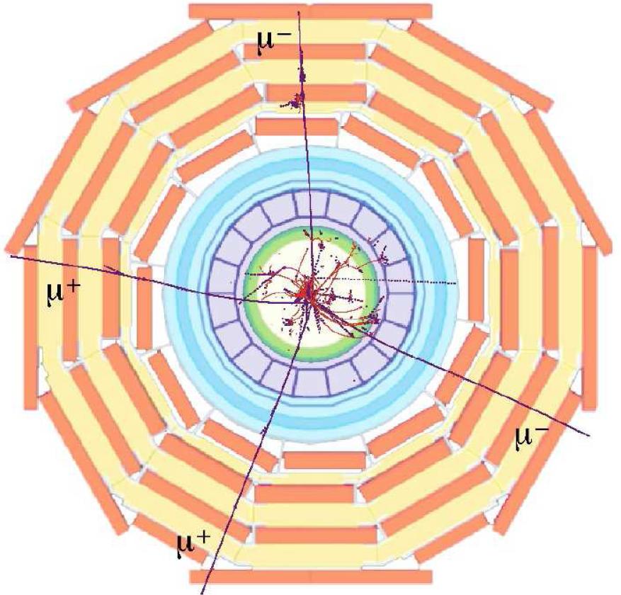 Higgs w detektorze CMS Symulacja