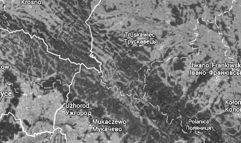 wisent herd (27 individuals) inhabiting National Park Poloniny in Slovakia. Migrations of wisents across the main ridge of the Carpathians are frequently observed.