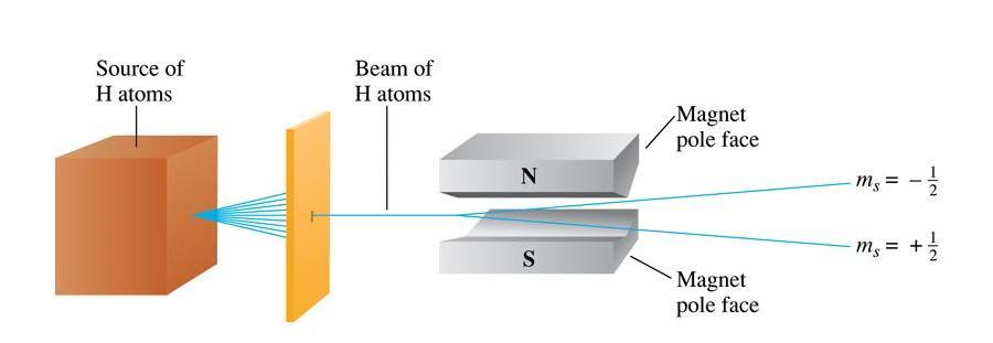 Spin elektronu i nowa liczba kwantowa W rzeczywistości okazało się, że każdy dozwolony poziom energetyczny dla elektronu w atomie