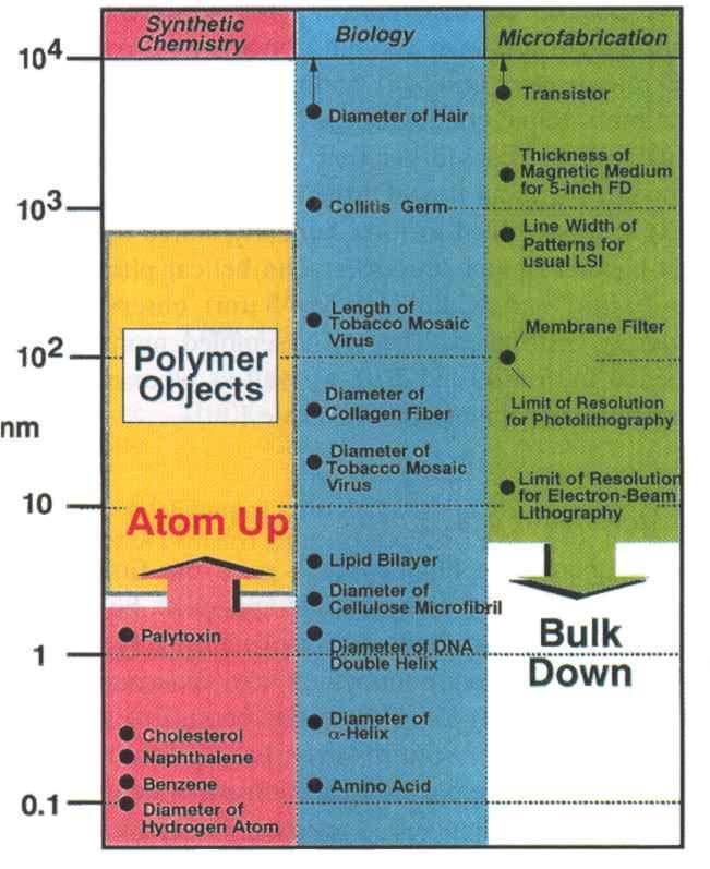 CEMIA MAKROCZĄSTECZEK (POLIMERÓW) Wielkości typowych struktur, występujących w syntezie chemicznej, w biologii oraz w mikro (nano) technologii (wg Shimizu/Whitesides) Toshimi Shimizu, Macromol.