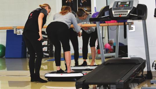 HANTLE WIBRACYJNE ADONIS ( KG) I OLYMPIA (1 KG) pozwolą uzupełnić trening na paltformie