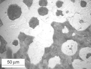 The DTA curves (a) of hypoeutectic ductile iron and its microstructure are shown in Figure 11 (a,.