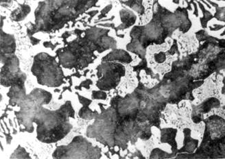 Figure 13 (a c) shows the DTA curves (a) and microstructure ( of chromium-molybdenum cast iron. From the solidification curve it follows that this cast iron is of hypoeutectic composition.