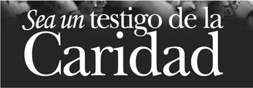 Él le dijo: «Hija, tu fe te ha salvado; vete en paz y queda curada de tu enfermedad».