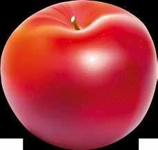 Raport FQC 7 Skuteczna i bezpieczna ochrona jabłoni W produkcji towarowej należy tak chronić jabłonie przed chorobami i szkodnikami, aby jakość owoców była bardzo wysoka, a zawartość pozostałości