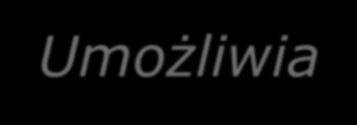 śledzenie lokalizacji i parametrów pracy pojazdu, stanu ładunku oraz czasu pracy kierowcy Umożliwia