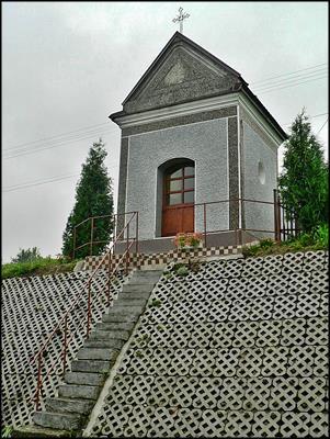 Olszyny
