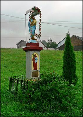Olszyny 6