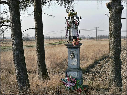 Szczurowa