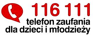 Nigdy nie zamieszczaj czegokolwiek, co może posłużyć do zlokalizowania ciebie lub innej osoby (na przykład imienia i nazwiska, adresu e-mail, czy też adresu domowego lub numeru telefonu). 3.