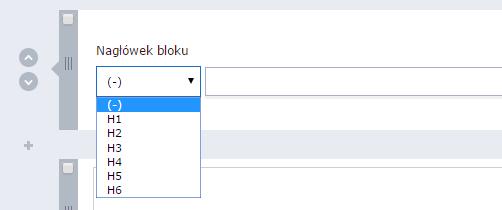 Blok nagłówka pozwala także na oznaczenie jego ważności pod względem SEO (znacznik h1,h2,h3...). Blok tekstowy pozwala zamieścić na stronie internetowej sam tekst.