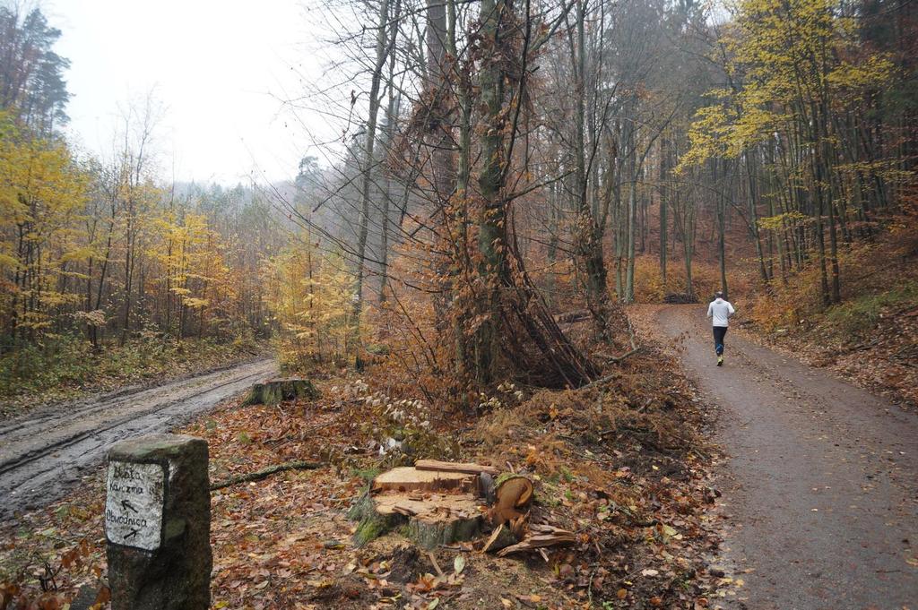 Jak poprawić zatrzymanie wody