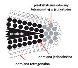 stopów tytanowych oraz podobna ilość kamienia nazębnego co wokół naturalnych zębów [19, 20]. Ważnym, ze względu na długoczasowe użytkowanie uzupełnień protetycznych, wydaje się być zjawisko abrazji.