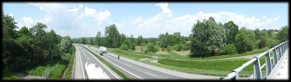 Ruch kołowy - powoduje bezpośrednią śmierć zwierząt w wyniku kolizji Szczególnie dotyczy to drobnych ptaków śpiewających, ssaków (szczególnie jeży), płazów podczas migracji wiosennych oraz
