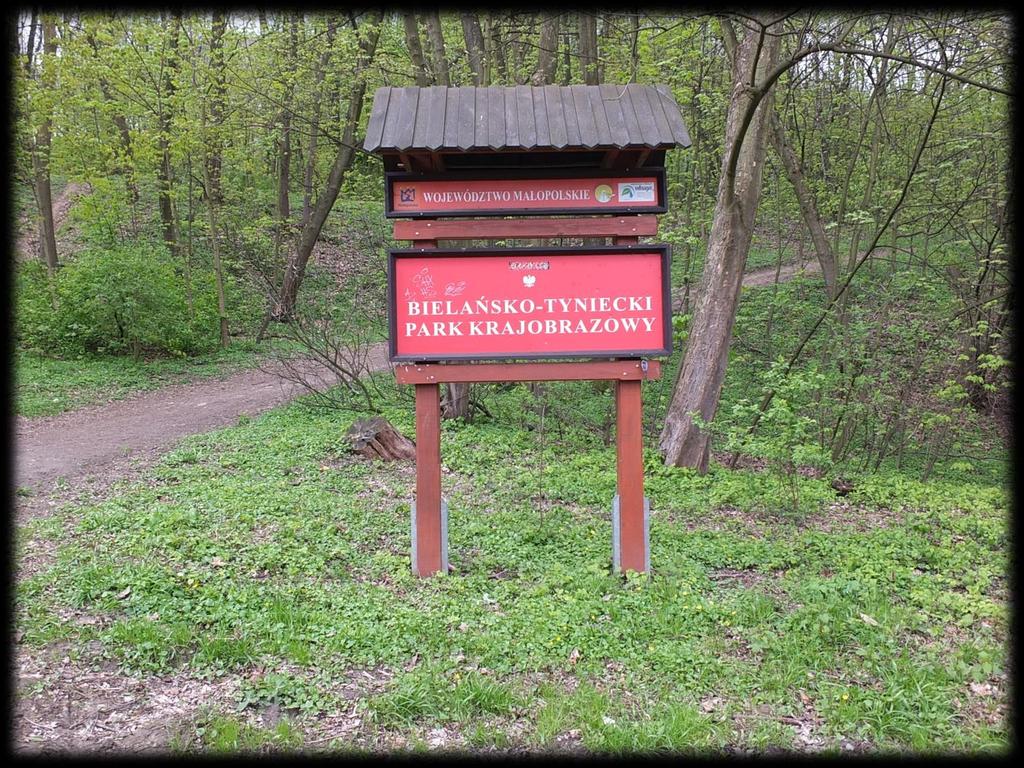 Bielańsko Tyniecki Park Krajobrazowy środowisko abiotyczne flora i zbiorowiska roślinne fauna walory