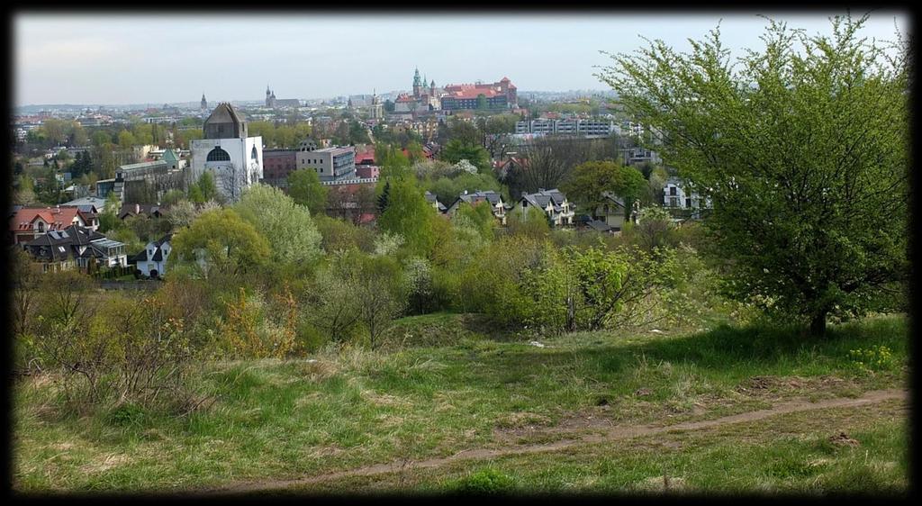 Presja urbanistyczna - ingerencja w naturalną rzeźbę terenu - obudowa cieków wodnych, ingerencja w stosunki wodne obszaru - zabudowywanie obszarów wymiany powietrza Teren krajobrazu