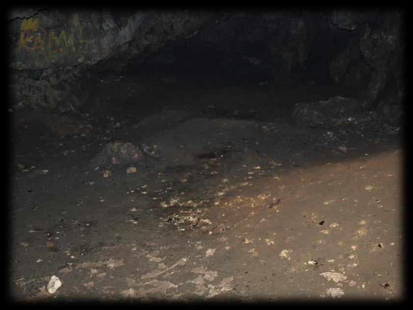 Dewastacja form geologicznych - nadmierna penetracja i niszczenie odsłonięć geologicznych przez turystów i poszukiwaczy skał i minerałów Teren całego