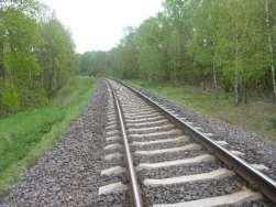 odcinek linii kolejowej przebiega również w całości w zasięgu korytarza ekologicznego KPnC-24B Lasy Poznańskie.