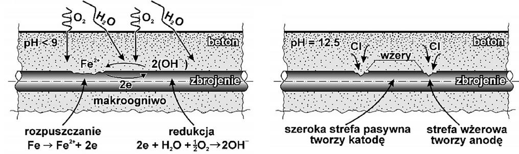 a) b) Rys. 5. Schemat ogniwa korozyjnego na zbrojeniu, wywołanego: a) zobojętnieniem betonu, b) działaniem chlorków [22] przebiegających zjawisk.