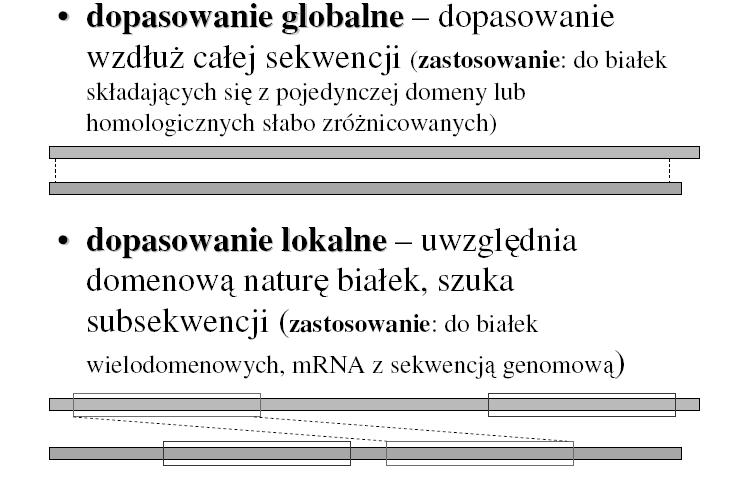 Dopasowanie globalne a lokalne Dopasowanie globalne a lokalne Dopasowania globalne, obejmujące pełny zakres wszystkich sekwencji, są najbardziej użyteczne, gdy zestawiane sekwencje są podobne i o