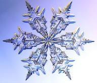 CZY WIECIE, ŻE Śnieg to zlepki kryształków lodu powstające w wyniku bezpośredniej zmiany pary wodnej zawartej w powietrzu w lód.