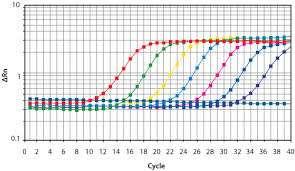 Mieszanie Próbobranie nasion (ISTA) kukurydza Próbka laboratoryjna (min 6000 nasion ) - sampling wg ISTA Próbka A (1000 nasion) Próbka B (1000 nasion) Próbka C (1000