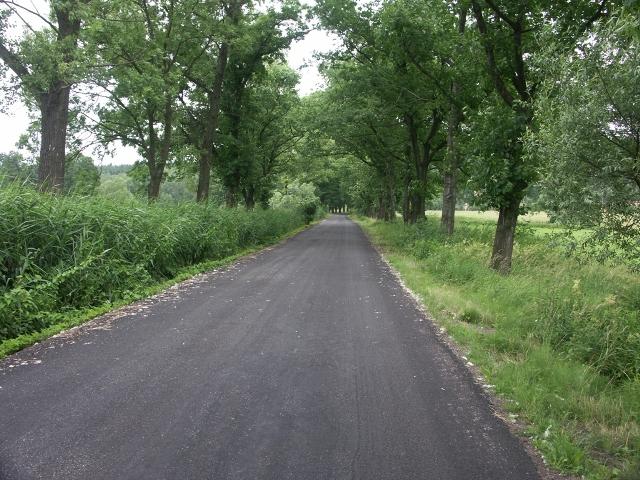 działalność DPS-ów.