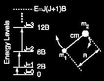 Czasteczki dwuatomowe l J B = 2 2I = 2 2µR 2 regu la wyboru: J =