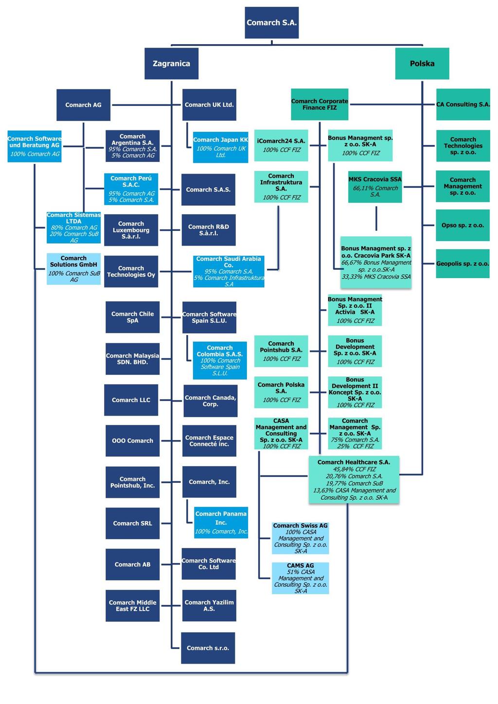 1.1. Struktura organizacyjna Grupy Comarch